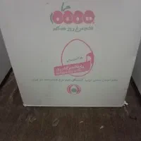 تخم مرغ