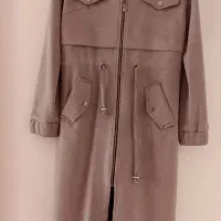 پالتو سوئیت