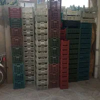 جعبه برایه میوه محلی