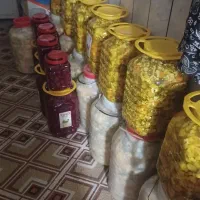 فروش عمده و جزئی زیتون شمال زیتون پرورده|خوردنی و آشامیدنی|نورآباد, |دیوار