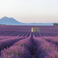 کار با درآمد بالا و جای خواب و غذا و بیمه|استخدام خدمات فروشگاه و رستوران|تهران, صادقیه|دیوار