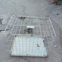 قفس|لوازم جانبی حیوانات|کرمانشاه, |دیوار
