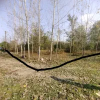 280متر زمین سند +نامه بنیاد