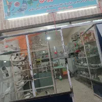 پرنده سرای طاووس کبودراهنگ بازارچه قدیمی|پرنده|کبودرآهنگ, |دیوار