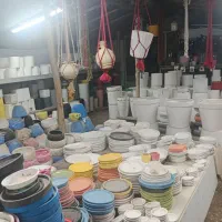 انواع گل و گلدان به صورت تک و عمده|گل و گیاه طبیعی|کرج, فاز ۳ مهرشهر|دیوار