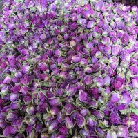 نیرو بسته بندی