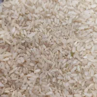 برنج کامفیروز