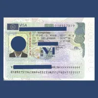 ویزای تجاری هلند