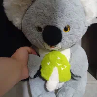 عروسک خارجی مخصوص کادو|اسباب‌‌بازی|رشت, کوی قدس|دیوار