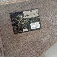 4متری طوسی نوتمیز|فرش|رشت, پیرکلاچای|دیوار