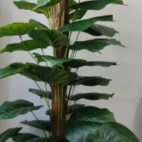 گل نو مصنوعی ارتفاع یک متر و۷۰ سانت|گل مصنوعی|ایلام, |دیوار
