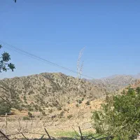 ۱۰ قصب زمین محمد آباد بالا ۱۱۵