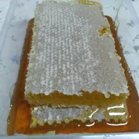 عسل طبیعی اردبیل|خوردنی و آشامیدنی|تهران, گمرک|دیوار