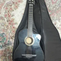 گیتار مستر ورک