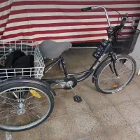 ۳ چرخه بزرگسال