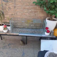 آکواریوم شرکتی|ماهی|سنندج, |دیوار