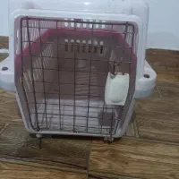 باکس حمل حیوان