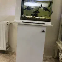 آکواریوم کاملا نو
