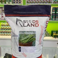 بذر سبزیجات بذر تره بذر یونجه بذر شوید بذر باقالا|گل و گیاه طبیعی|اصفهان, سلطانآباد|دیوار