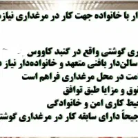 سالن دار مرغداری