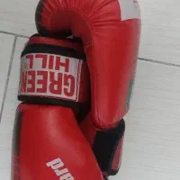 وسایل بوکس|تجهیزات ورزشی|فردیس, داوری|دیوار