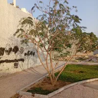 خدمات نظافت منزل و ساختمان به صورت حرفه ای