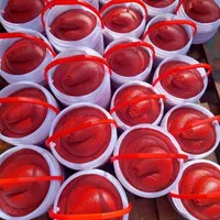 پخش رب خانگی ارسال رایگان|خوردنی و آشامیدنی|فردیس, فردیس|دیوار