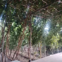 اسکان رفاهی رایگان برای مردم عزیزم