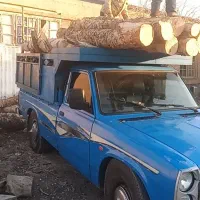 قطع وخرید چوب درخت هرس درخت برش در تمام نقاط مشهد