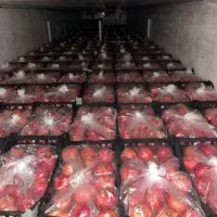 با کیفیت ترین آب زرشک بهداشتی ترین آب آلبالو|خوردنی و آشامیدنی|تهران, الهیه|دیوار