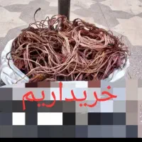 ضایعات مس آلومینیوم آهن برنز شیرآلات|عمده‌فروشی|شیراز, پانصد دستگاه ارتش|دیوار