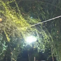 اجاره-منزل
