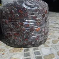 فروش خرما پلاستیکی ومرداسنگ ومجول|خوردنی و آشامیدنی|شیراز, آزادگان|دیوار
