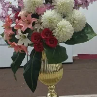 گل زینتی تمیز