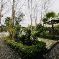 پشت پارک جنگلی نور خونه روستایی بدون مشرف|فروش خانه و ویلا|رینه, |دیوار