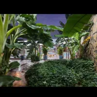 زمین کشاورزی هکتاری ۷۵ت