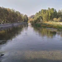 آشنا داری د
