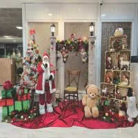 اجاره و فروش درخت کریسمس دکور ژورنالی|گل مصنوعی|تهران, نیاوران|دیوار