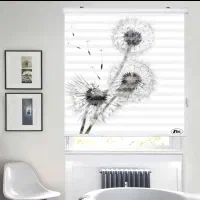 پرده کر کره ای زبرا