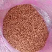 گندم بذردرجه یک اصلاح شده|گل و گیاه طبیعی|مریوان, |دیوار