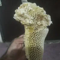 عسل خوب|خوردنی و آشامیدنی|کیش, |دیوار