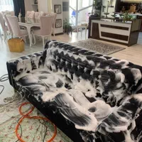 ((مبل شویی تخصصی برتر ))