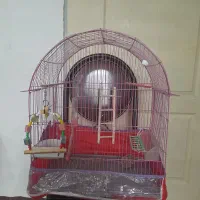 قفسه پرنده