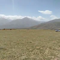 زمین ویلایی یا کشاورزی