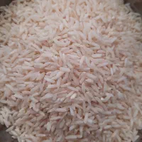 برنج هاشمی سورتینگ شده