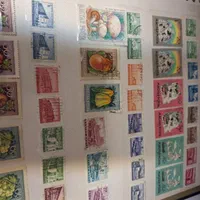 دوعدد آلبوم تمبر|کلکسیون سکه، تمبر، اسکناس|دوگنبدان, |دیوار