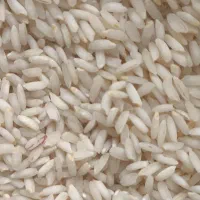 برنج عنبربو شوشتر امسالی|خوردنی و آشامیدنی|قم, صدوق|دیوار