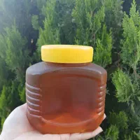 عسل تبریز|خوردنی و آشامیدنی|بندر ترکمن, |دیوار