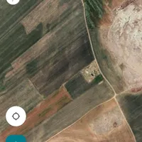 اجاره ۶ هکتار و نیم