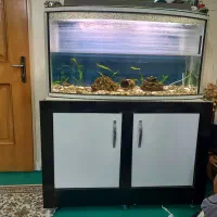 آکواریوم شیشه خم با میز و کلیه وسایل|ماهی|شاهینشهر, نبوت|دیوار